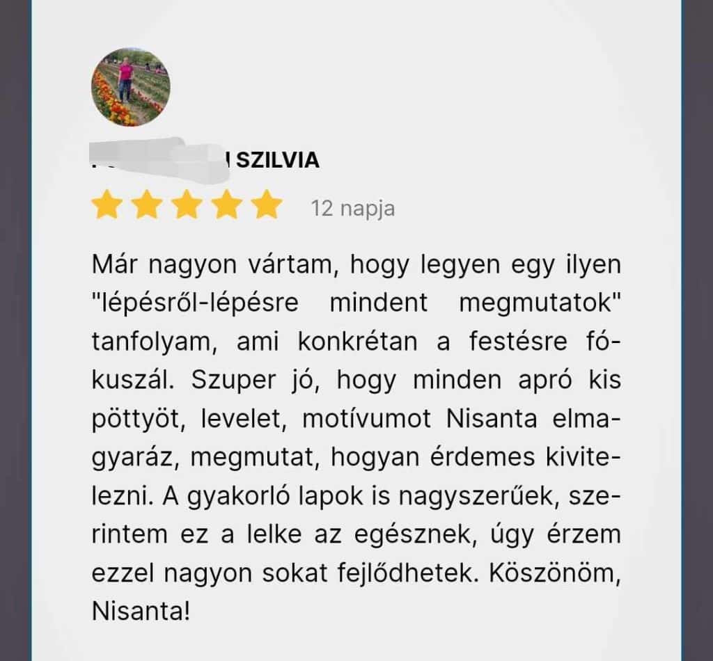 Henna Tanfolyam vélemény